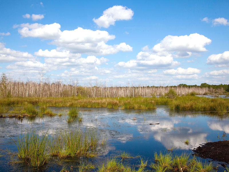 Blick auf ein Hochmoor, der Himmel spiegelt sich in der Wasseroberfläche. Blick auf ein Hochmoor, der Himmel spiegelt sich in der Wasseroberfläche.