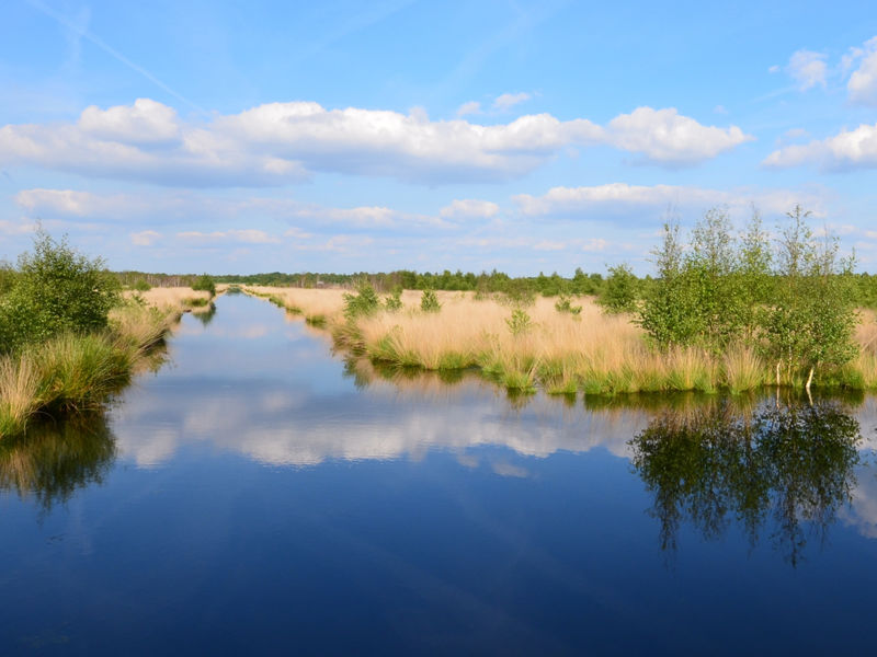 Landschaft eines Naturparks in Niedersachsen. Landschaft eines Naturparks in Niedersachsen.