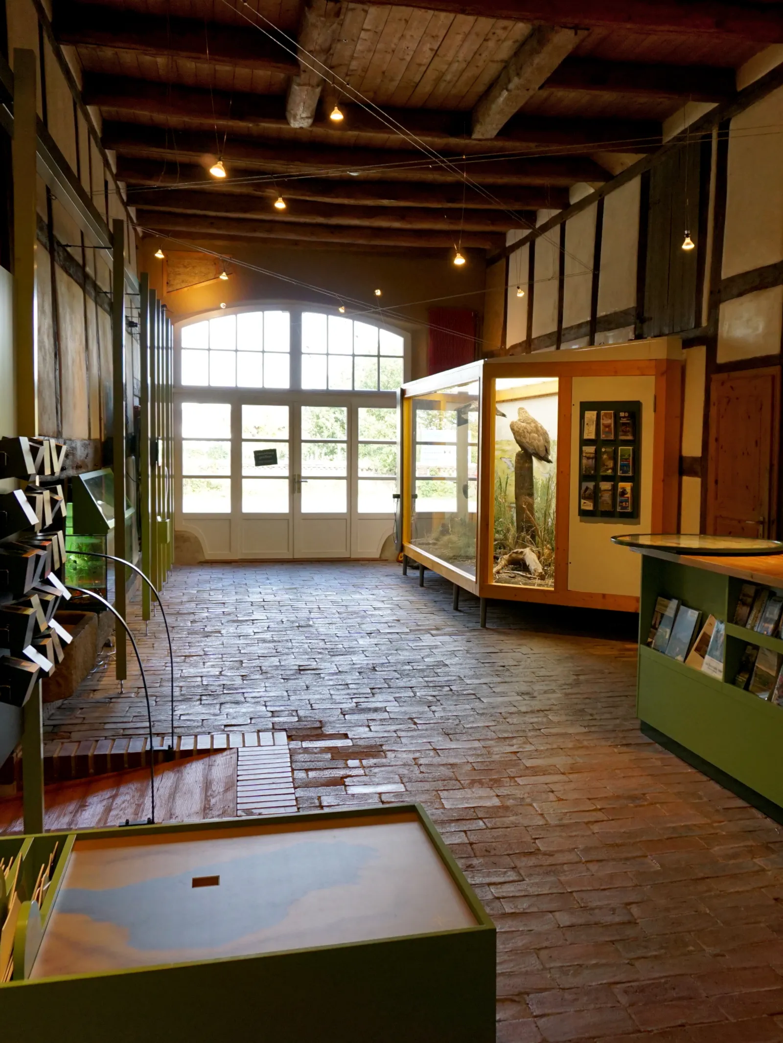 Ausstellung in der &Ouml;kologischen Schutzstation Steinhuder Meer