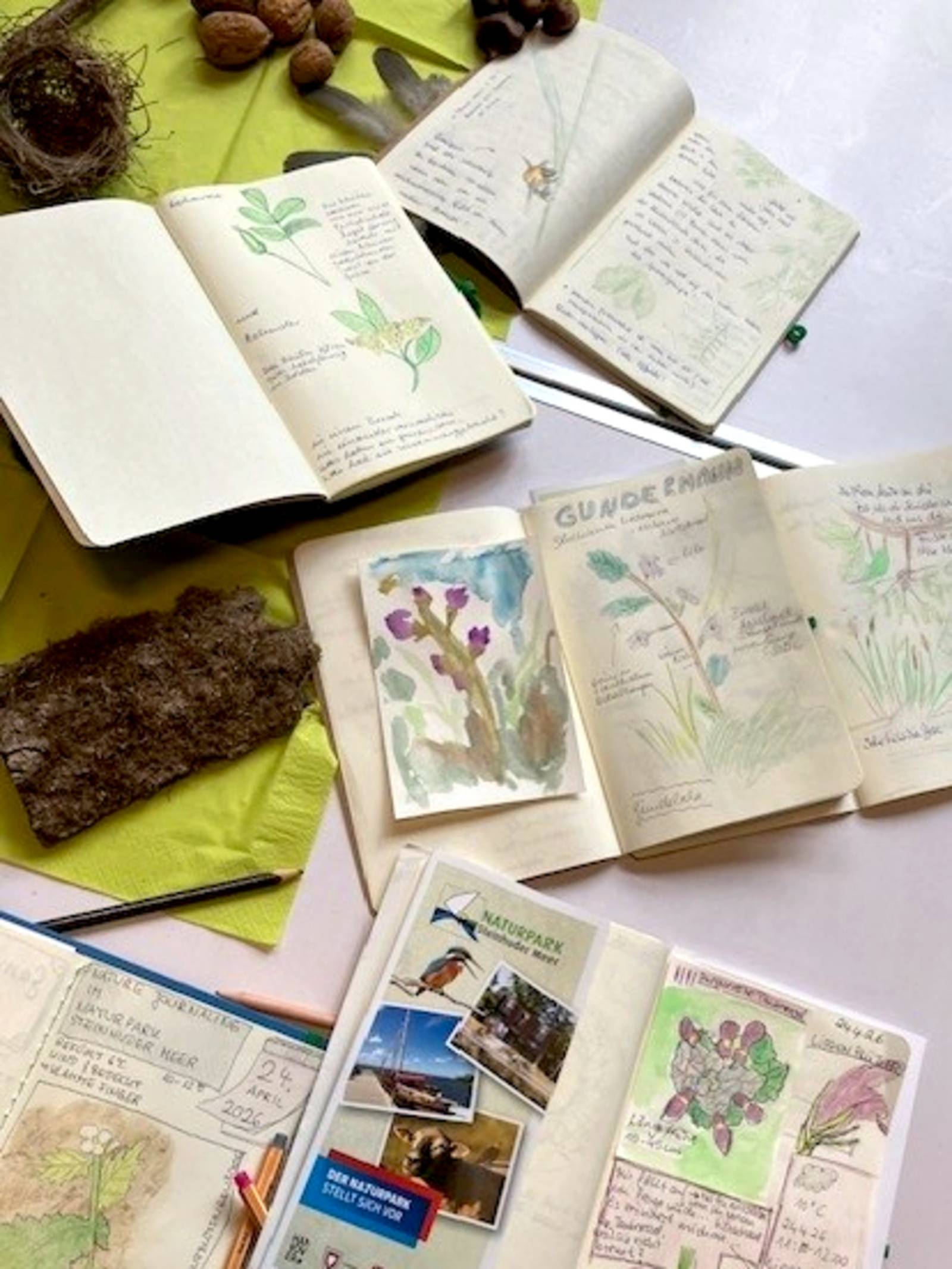 Verschiedene Naturtageb&uuml;cher liegen auf einem Tisch