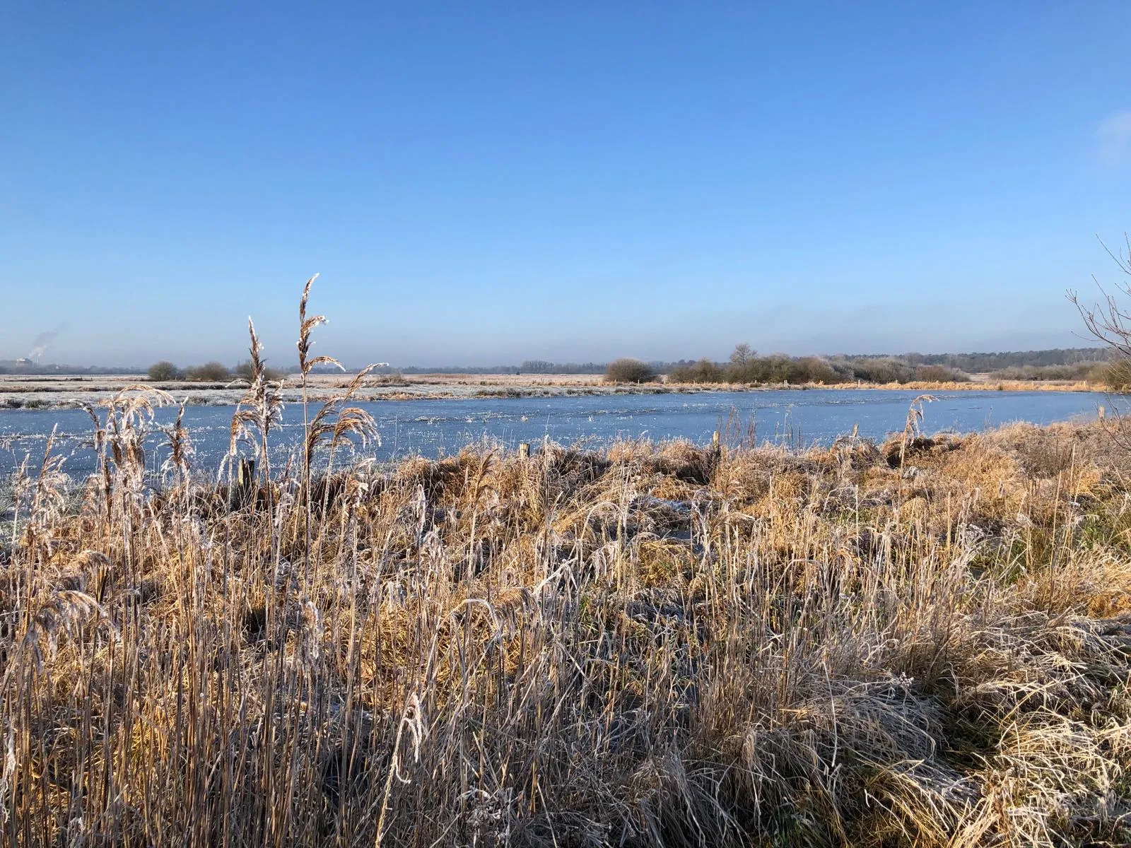 Landschaft mit Wasser und Gr&auml;sern
