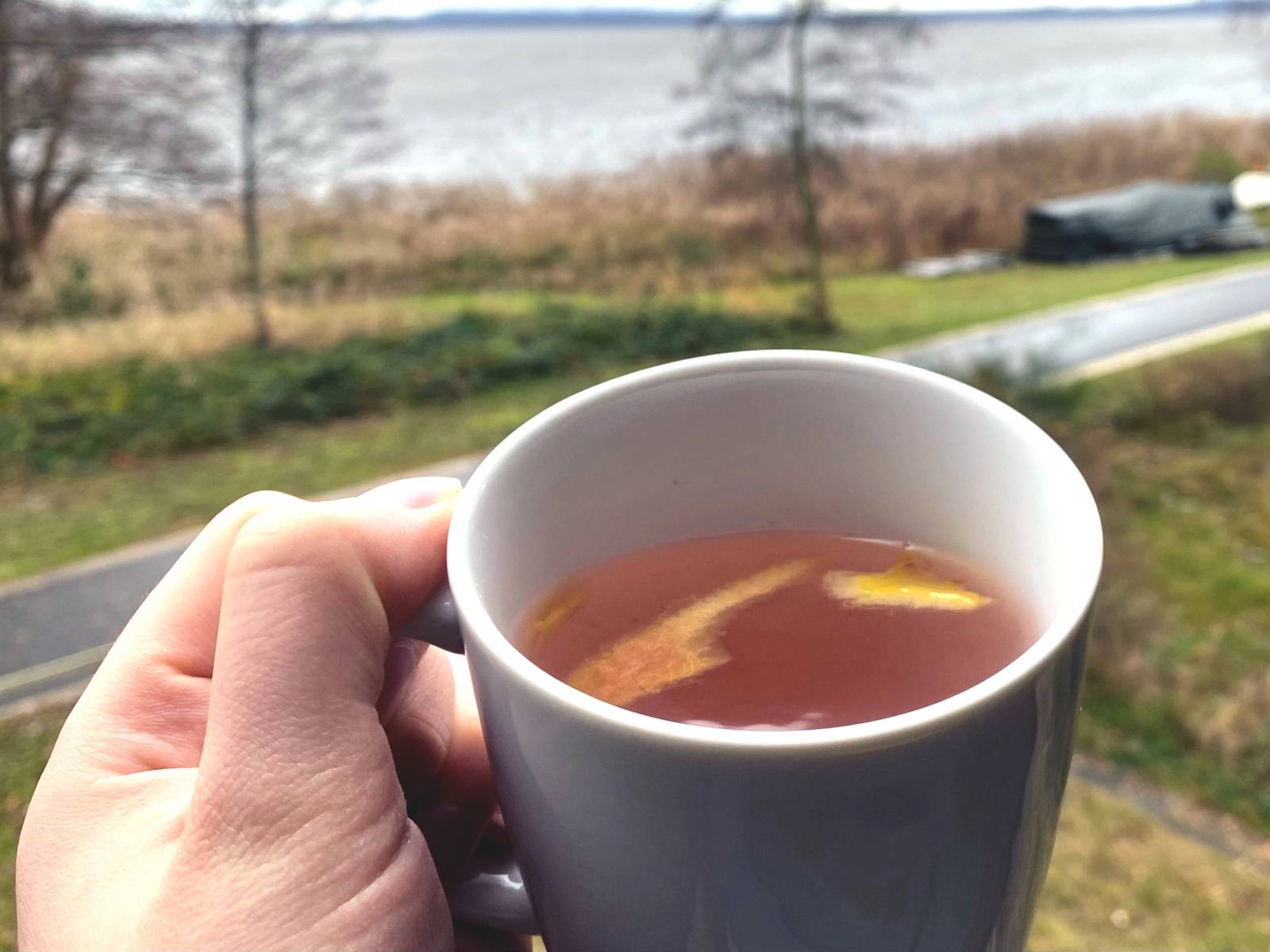 Eine Hand hält eine Tasse mit Tee aus Apfelschalen. Hinter Hand und Tasse kommt erst eine Straße und dahinter das Ufer des Steinhuder Meeres.