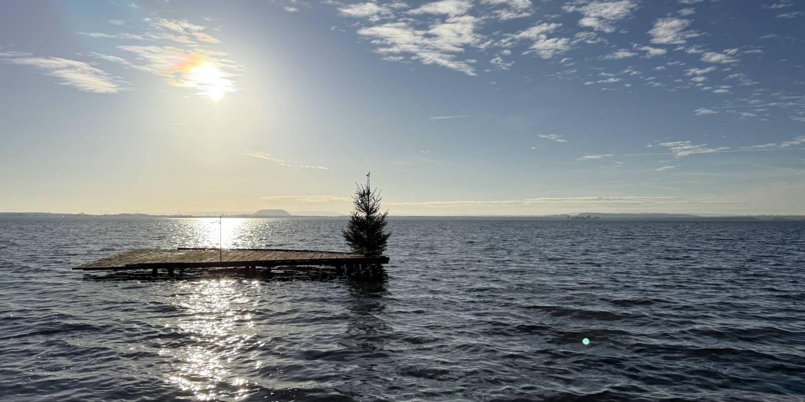 Auf einem Steg im Steinhuder Meer ist ein Tannenbaum.