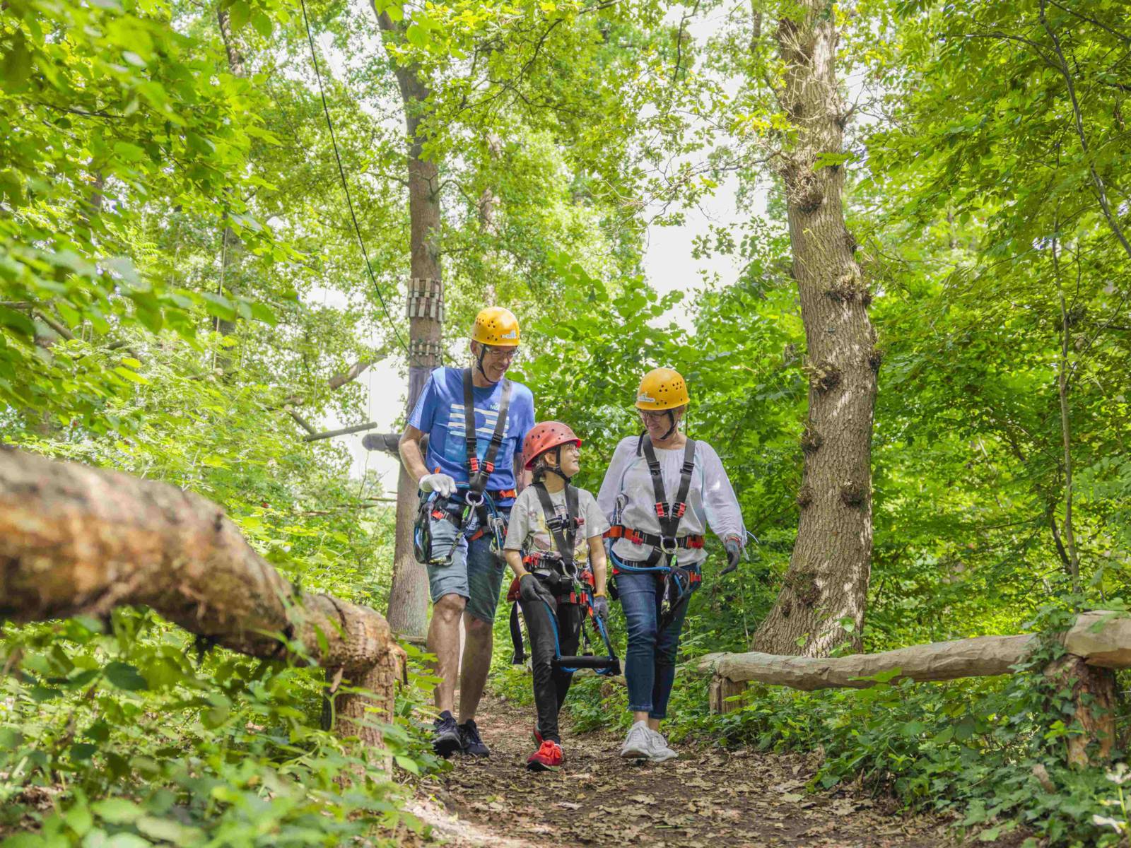 Drei Personen tragen Ausrüstung zum Klettern und gehen einen Weg im Wald entlang.