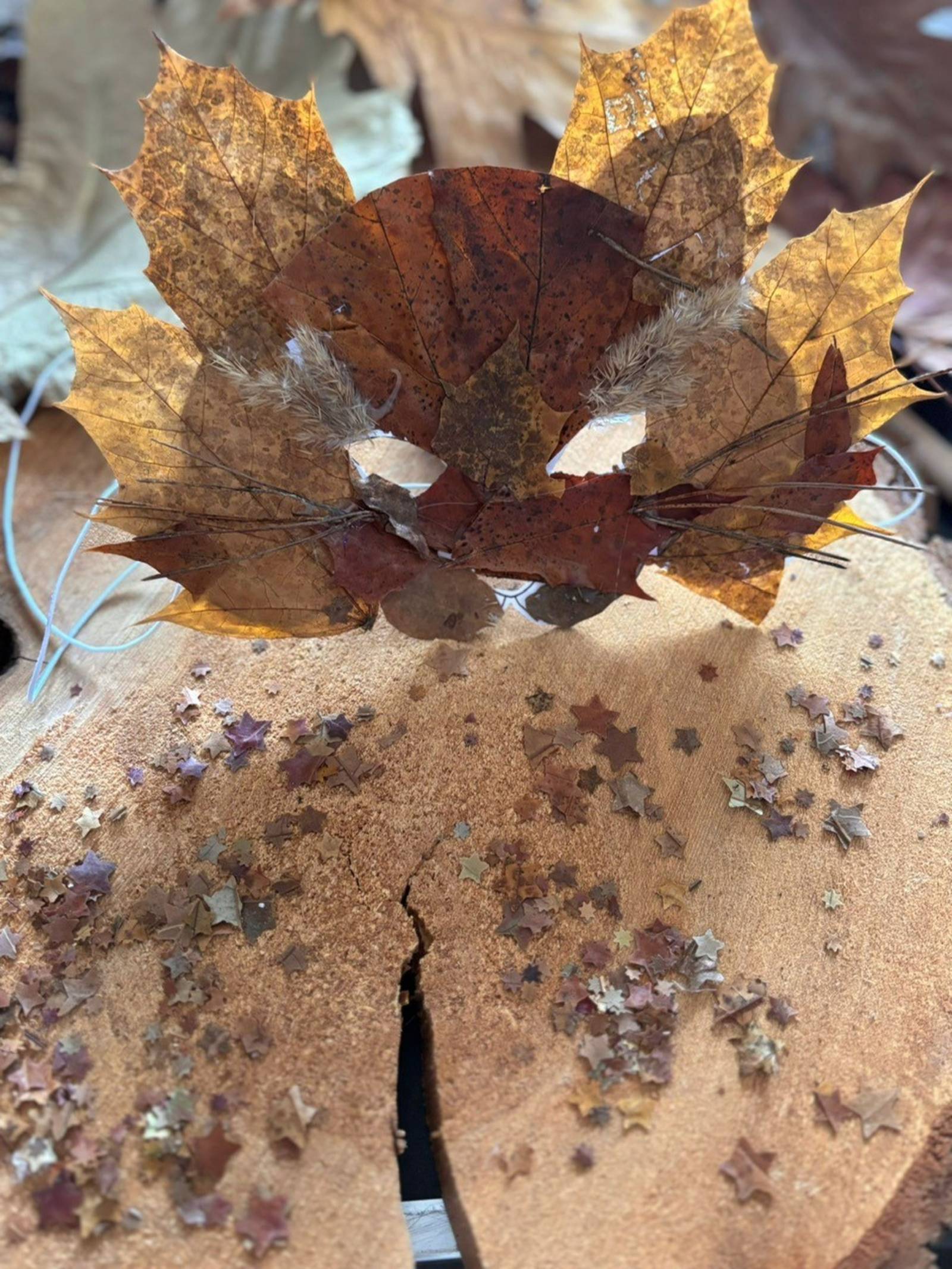 Faschingsmaske aus Laubbaumblättern und anderen Naturmaterialien.