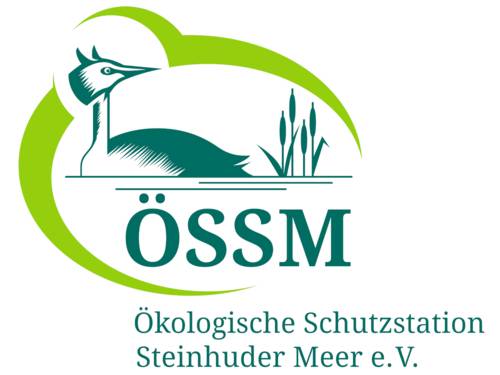 Logo: Ein Wasservogel und Uferpflanzen sind von einer elliptischen Form fast ganz umschlossen, dazu die Buchstaben: "ÖSSM" und darunter: "Ökologische Schutzstation Steinhuder Meer e.V. ". Als Farbe kommen ein hellerer und ein dunklerer Grünton zum Einsatz.