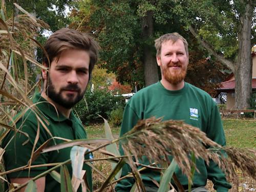 Zwei Männer tragen grüne Kleidung mit dem Logo des Naturparks Steinhuder Meer und schauen über Uferpflanzen hinweg in die Kamera.