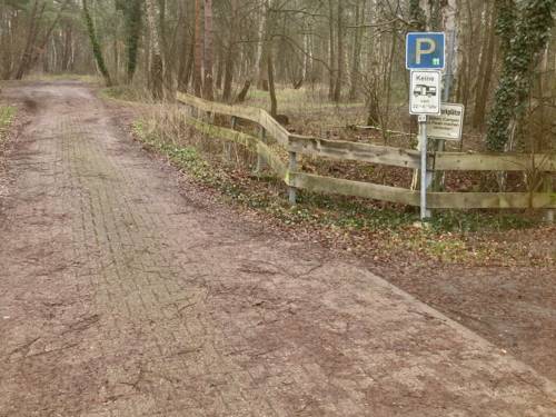 Blick auf Wege zu Parkflächen in einem Gebiet mit Baumbestand.