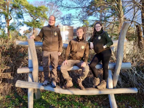 Drei Personen stehen auf Holzbalken