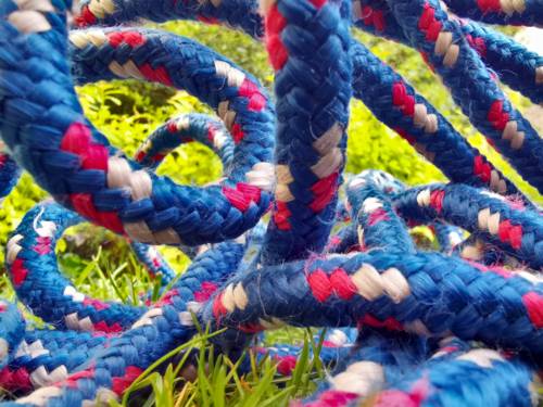 Ein Seil in den Farben Blau, Rot und Weiß liegt gerollt und geschlängelt auf einer Grünfläche.