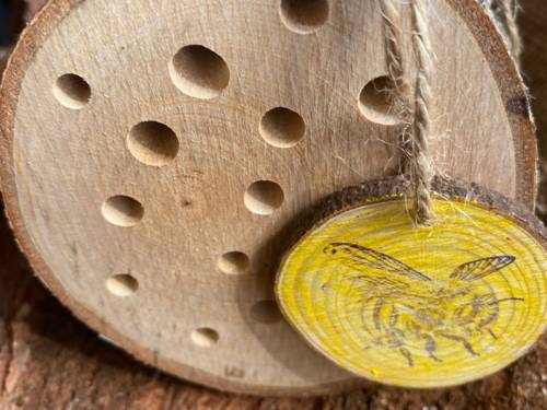 In einer Baumscheibe sind unterschiedlich große Löcher für verschiedene Insekten, davor hängt an einem Fadem eine zweite, kleinere Baumscheibe mit einem Bienen-Symbol.