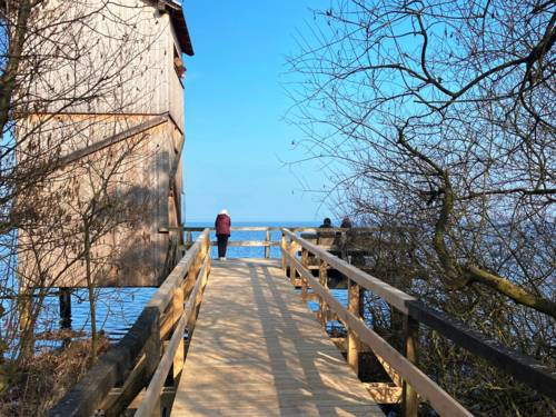 Ein Steg führt zu einem Aussichtsturm. Menschen blicken auf das Steinhuder Meer.
