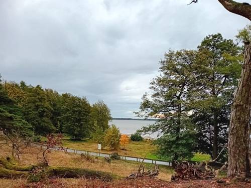 Blick von der Düne zum Steinhuder Meer