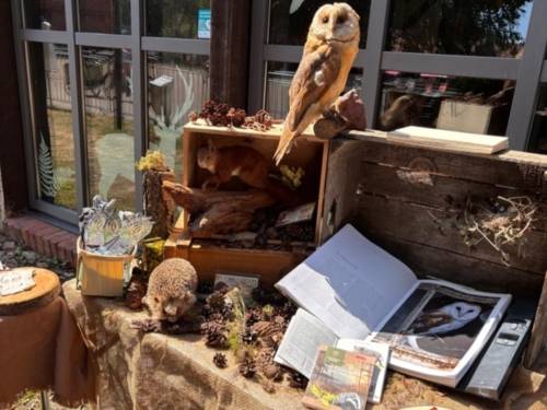 Station bei einem Parcours: Präparierte Tiere und Naturmaterialien liegen mit Infos auf einem Tisch.