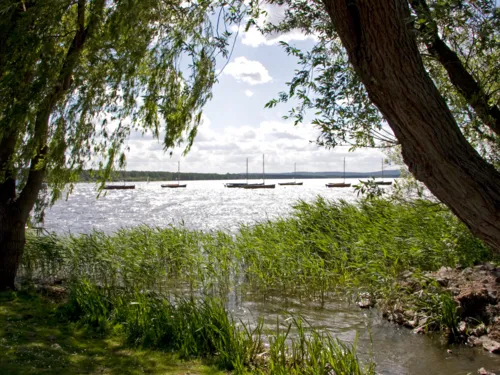 Blick von einem Spazierweg aus auf das Steinhuder Meer. Links und rechts stehen B&auml;ume, deren Krone ein Sichtfenster auf das Gew&auml;sser freigeben. Auf dem Wasser ankern Segelboote.