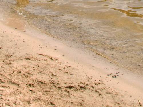 An einem Strand gehen gelber Sand und klares Wasser ineinander über.
