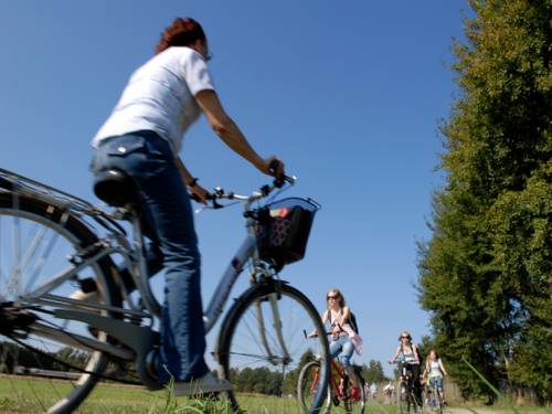 Radler auf einem Radweg