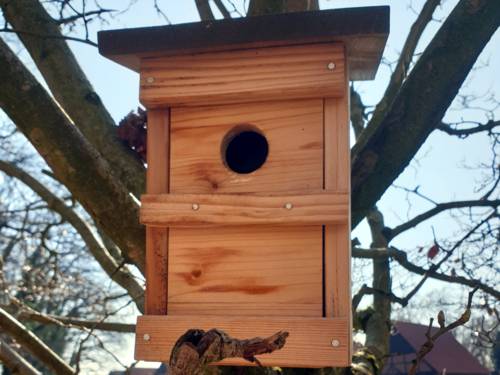 Ein Nistkasten aus Holz für Vögel hängt in einem Baum.