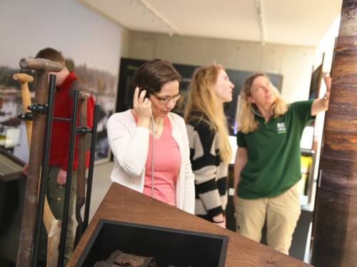 Drei Frauen und ein Mann schauen sich die Ausstellung im Naturparkhaus am Steinhuder Meer an.