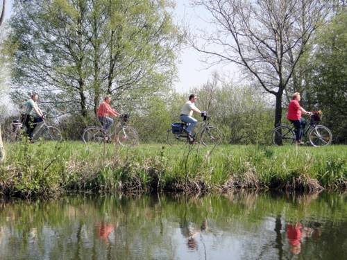 Radfahrende in grüner Landschaft, parallel zu einem Gewässer.