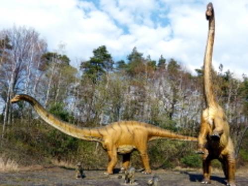 Pflanzenfressende Langhalsdinosaurier im Dinosaurier Park Münchehagen.