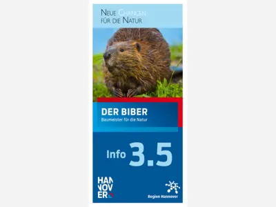 Titelbild