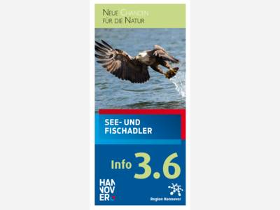 Titelbild