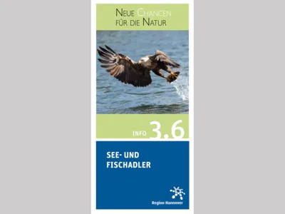 Titelbild