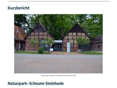 Vorschau auf den Kurzbericht