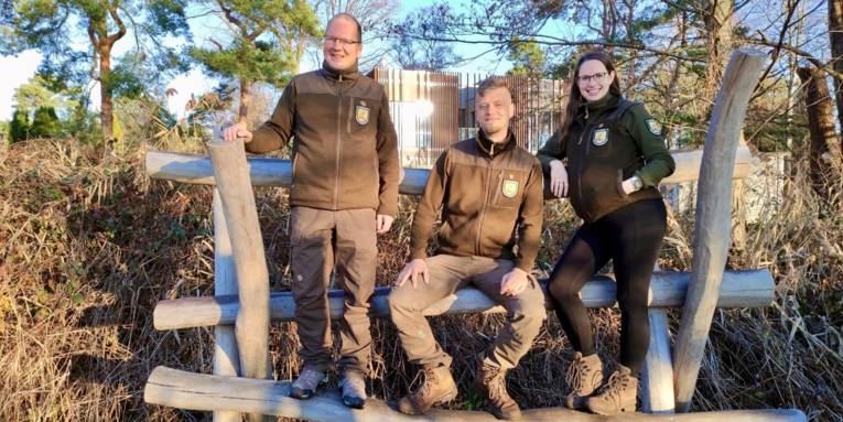 Drei Personen stehen auf Holzbalken