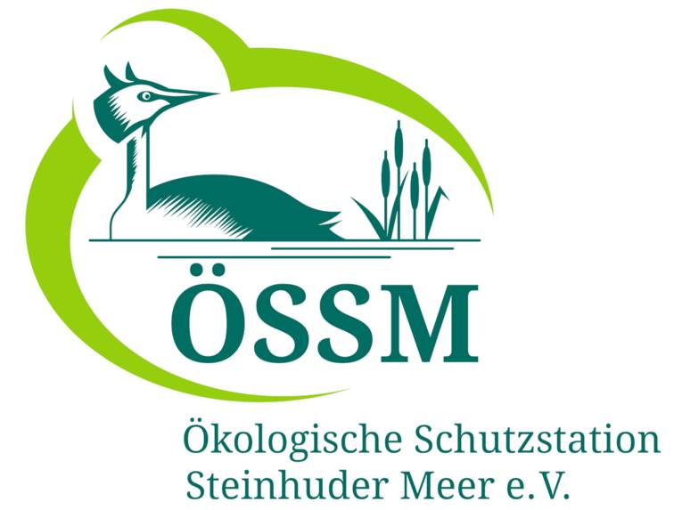 Logo: Ein Wasservogel und Uferpflanzen sind von einer elliptischen Form fast ganz umschlossen, dazu die Buchstaben: "ÖSSM" und darunter: "Ökologische Schutzstation Steinhuder Meer e.V. ". Als Farbe kommen ein hellerer und ein dunklerer Grünton zum Einsatz.