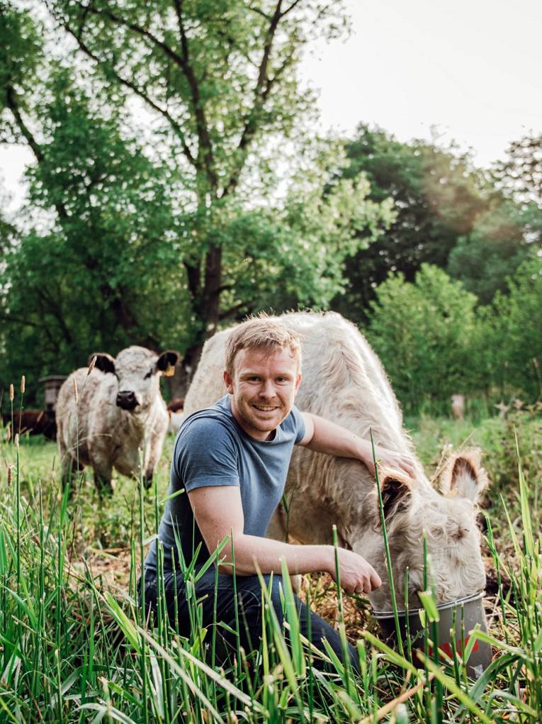 Ein Mann f&uuml;ttert ein Galloway aus einem Eimer, kniet dabei neben dem Tier und schaut in die Kamera.