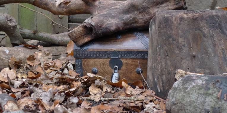 Eine Holztruhe mit Eisenbeschlägen steht zwischen Laub und dicken Ästen. Die Schatztruhe ist mit einem Zahlenschloss gesichert.