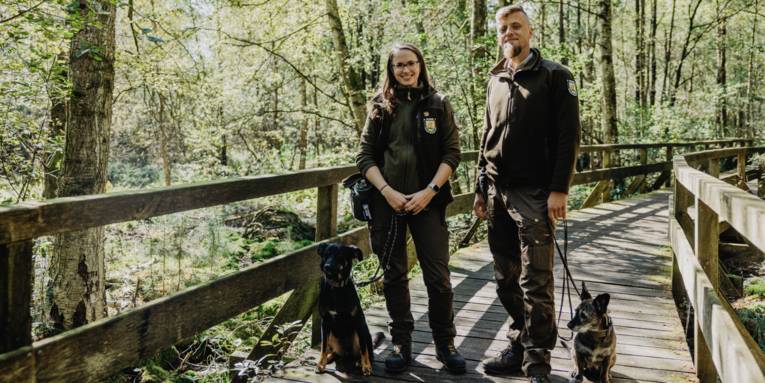 Eine Rangerin und ein Ranger stehen nebeneinander auf einem Holzsteg, zu ihren Füßen sitzen zwei Hunde, die Menschen halten die Hundeleinen.