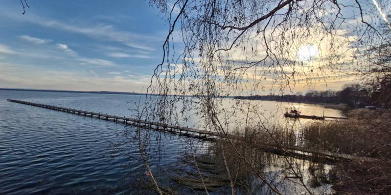Steg im Steinhuder Meer, die Bäume am Ufer tragen noch keine Blätter, die Sonne ist im Hintergrund.