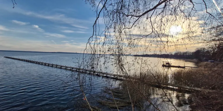 Steg im Steinhuder Meer, die B&auml;ume am Ufer tragen noch keine Bl&auml;tter, die Sonne ist im Hintergrund.
