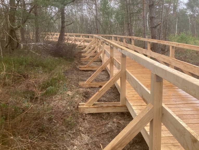Ein Steg führt durch ein feuchtes Gebiet. Das Holz sieht frisch aus, es ist noch nicht von der Witterung geprägt.