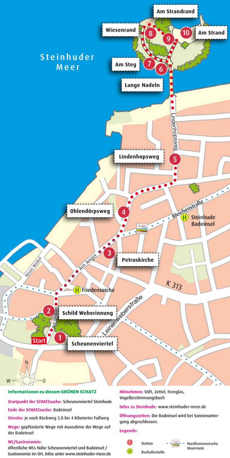 Vorschau auf den grünen Schatz