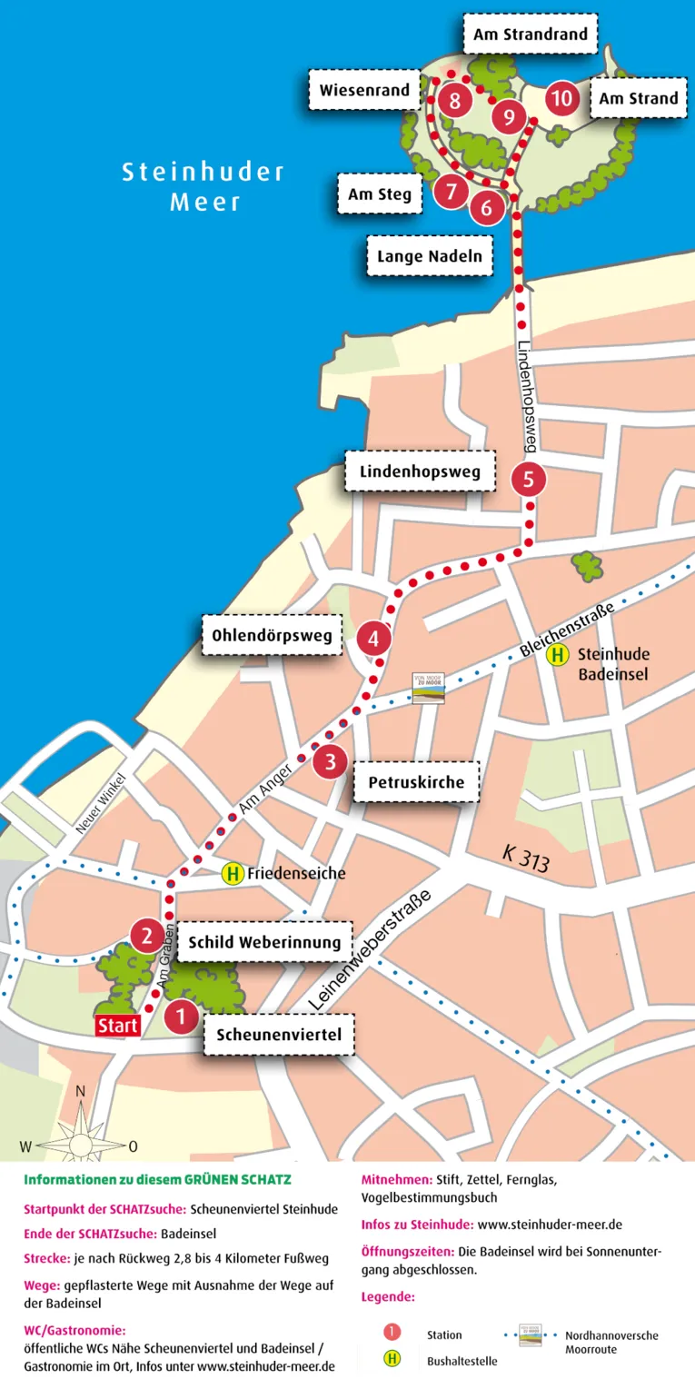 Vorschau auf den gr&uuml;nen Schatz