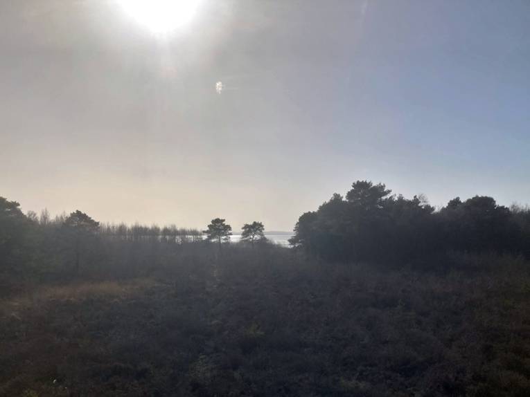 Ausblick auf das Steinhuder Meer.