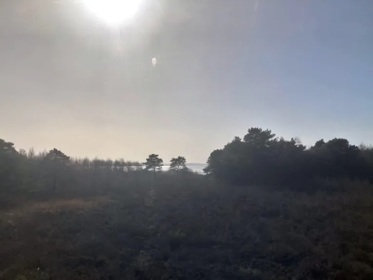 Ausblick auf das Steinhuder Meer.