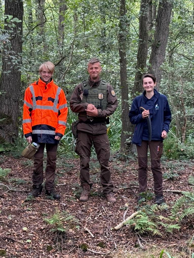 Drei Personen stehen in einem Wald und tragen Kleidung, Arbeitskleidung.