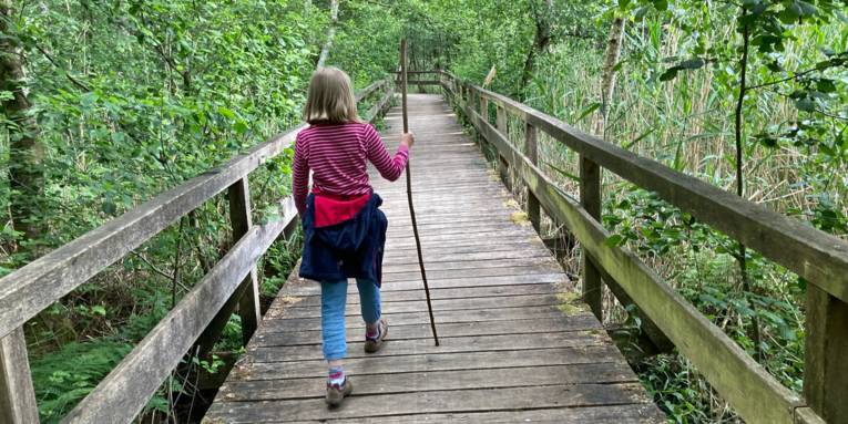 Ein Kind wandert mit einem langen Stock in der Hand über einen Holzweg. Der Steg aus Holz mit Holzgeländern führt sicher über ein Moorgebiet.