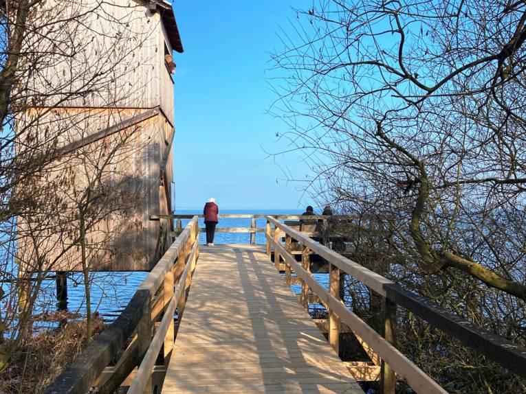 Ein Steg führt zu einem Aussichtsturm. Menschen blicken auf das Steinhuder Meer.