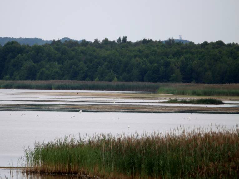 Als kleine und größere Inseln ist der sonst von Wasser bedeckte Boden des Steinhuder Meeres zu erkennen.