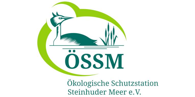 Logo: Ein Wasservogel und Uferpflanzen sind von einer elliptischen Form fast ganz umschlossen, dazu die Buchstaben: "ÖSSM" und darunter: "Ökologische Schutzstation Steinhuder Meer e.V. ". Als Farbe kommen ein hellerer und ein dunklerer Grünton zum Einsatz.