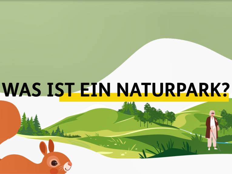 Zeichnung mit Wald, Eichhörnchen und Mensch. In der Mitte steht "Was ist ein Naturpark?"