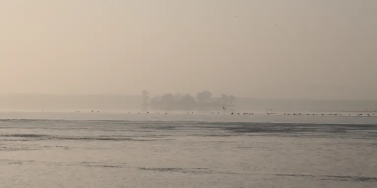 Blick &uuml;ber das Steinhuder Meer auf Insel Wilhelmstein, schemenhaft zu erkennen.