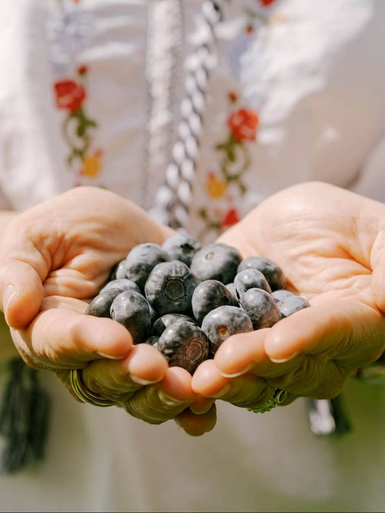 Eine Hand h&auml;lt Blaubeeren.