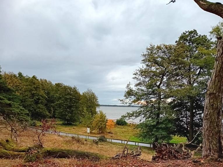 Blick von der Düne zum Steinhuder Meer